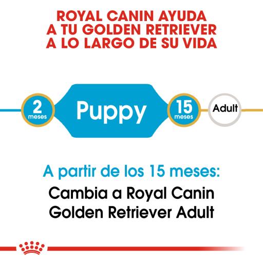 Royal Canin Dog Golden Retriever Puppy | 12 kg