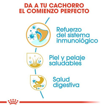 Royal Canin Dog Golden Retriever Puppy | 12 kg