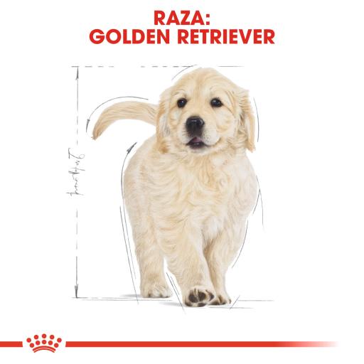 Royal Canin Dog Golden Retriever Puppy | 12 kg