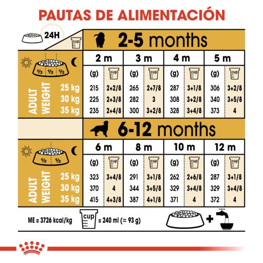 Royal Canin Dog Golden Retriever Puppy | 12 kg