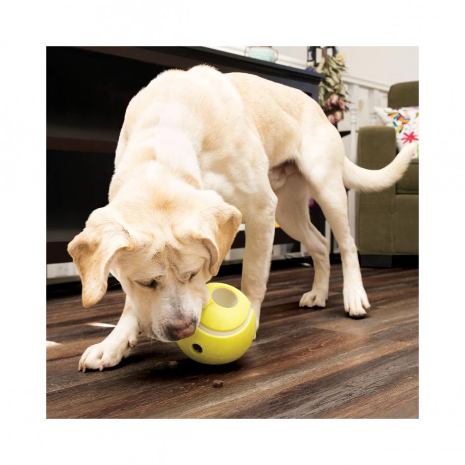 KONG Reward Tennis Ball