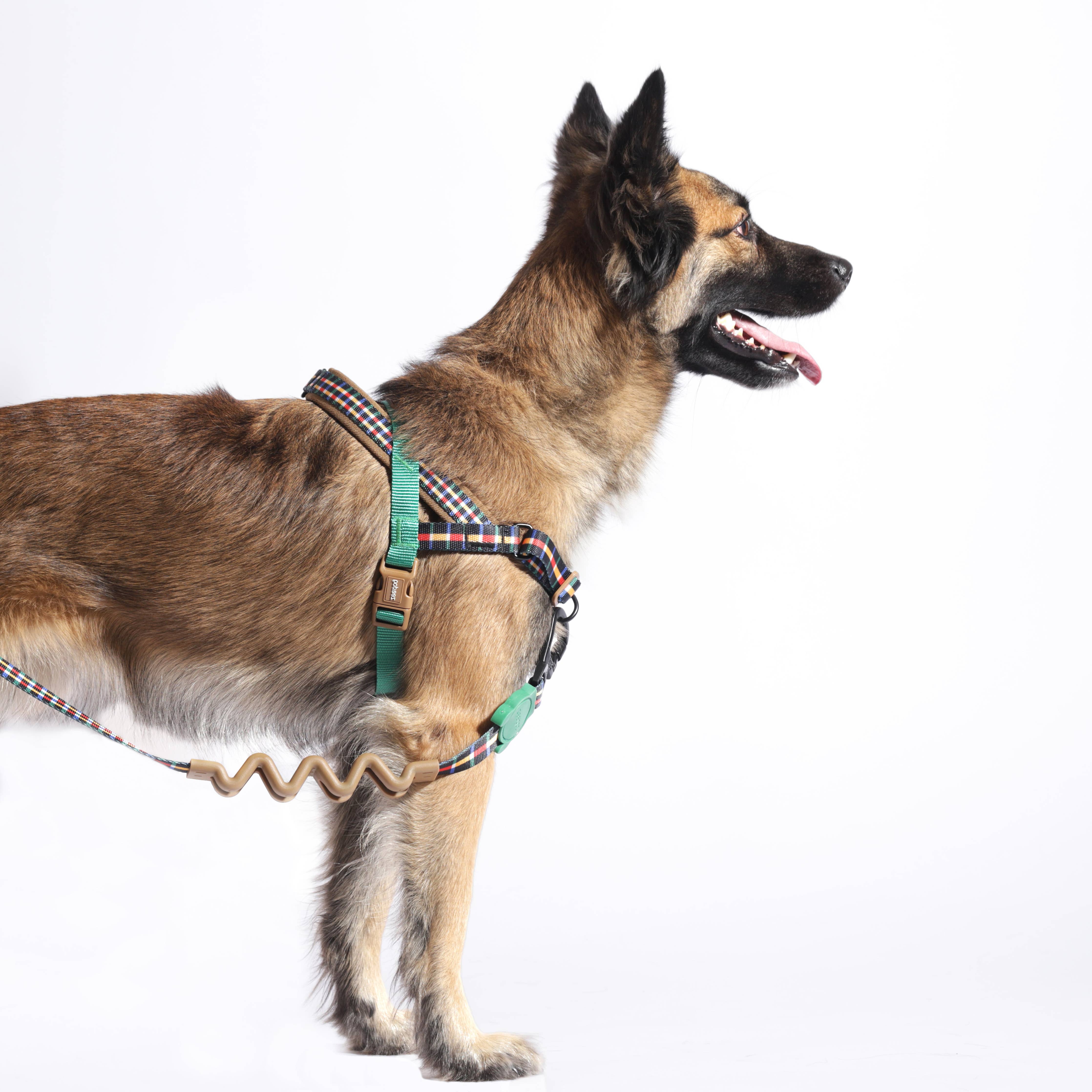 Peitoral Norueguês Softer-walk Travis: L