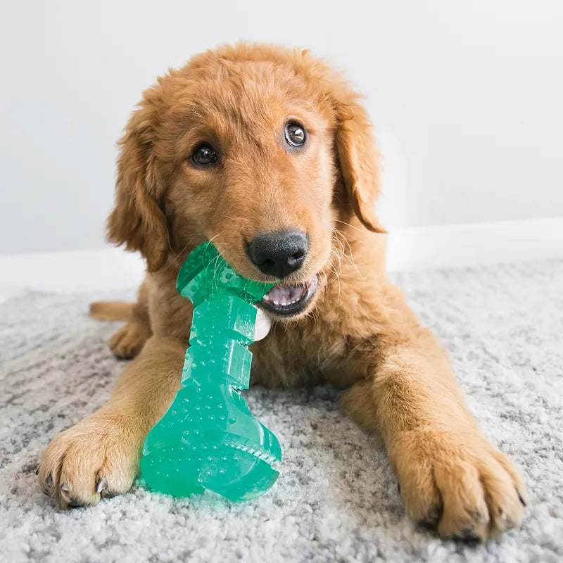 KONG Squeezz Stick brinquedo dentário para cães