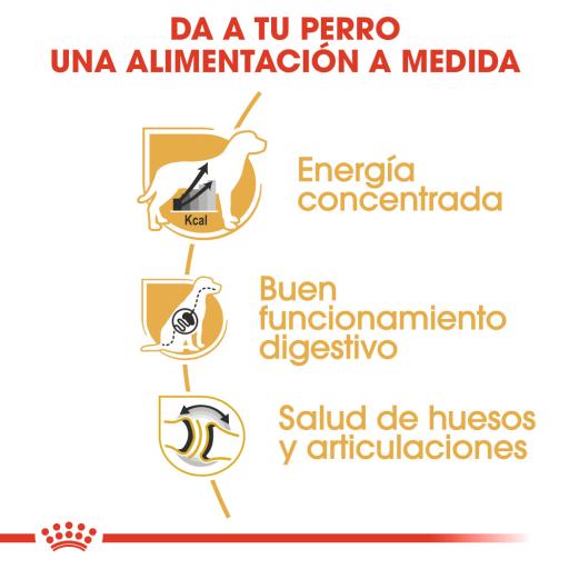 Royal Canin Dog Great Dane Adult | 12 kg