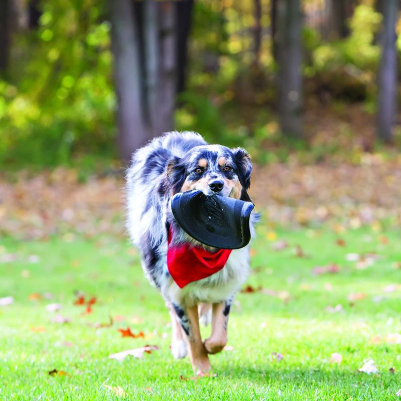 KONG Extreme Flyer dog frisbee