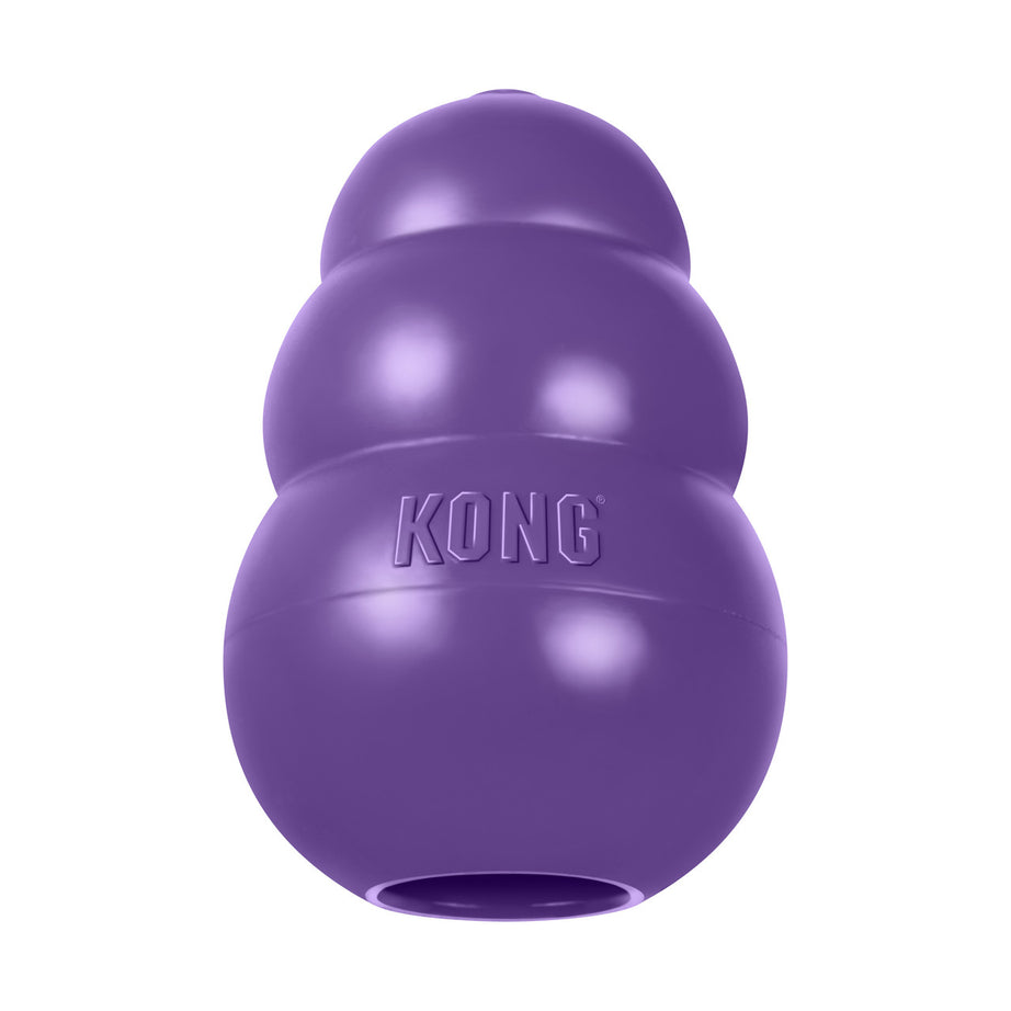 Kong senior