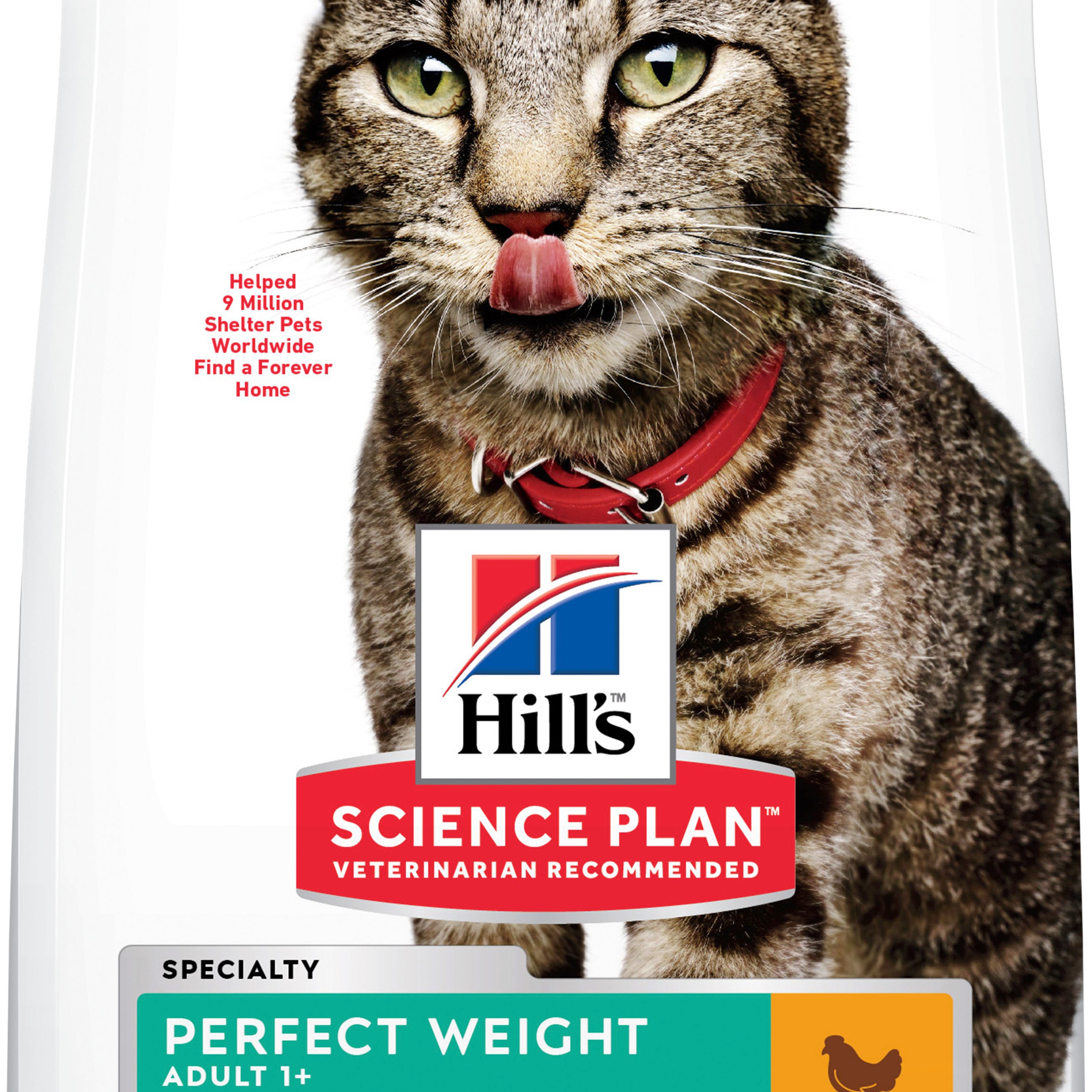 Hills Science Plan Cat Perfect Weight Adult with Chicken