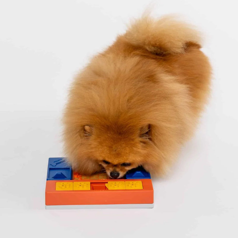 Puzzle Beginner - PAWZLER