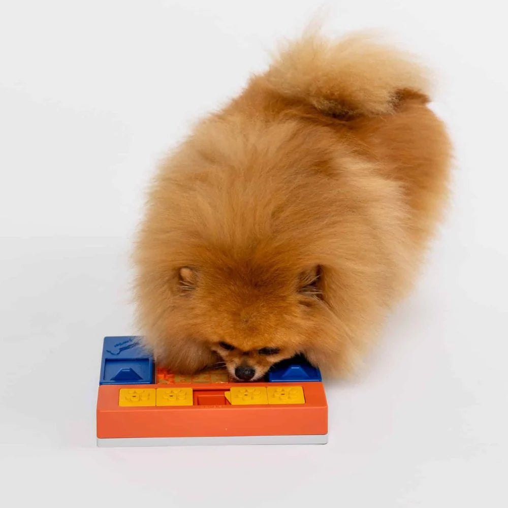 Puzzle Beginner - PAWZLER
