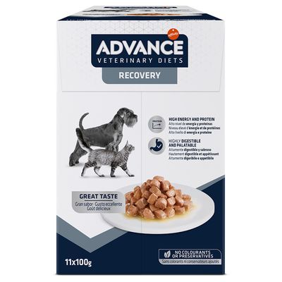 Advance Recovery Veterinary Diets comida húmida para cães e gatos | Pack 11 x 100g - DOGGIE STORE