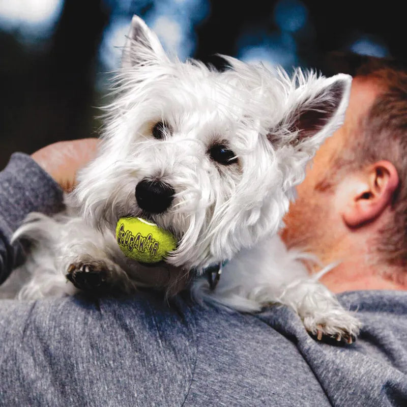 Pelota de tenis Kong Air Squeaker (paquete de 3)