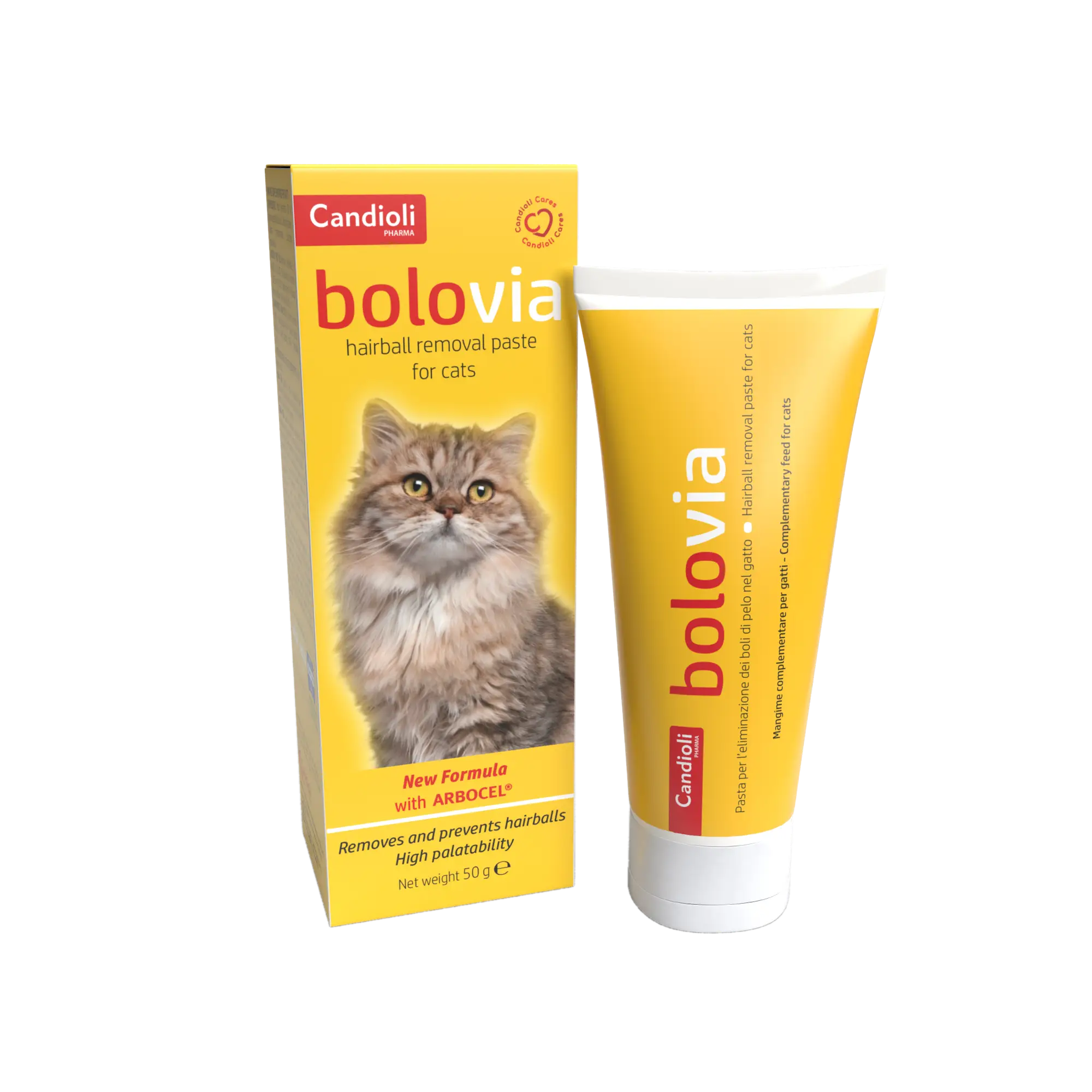 Juguete masticable circular para perros Kong Dotz