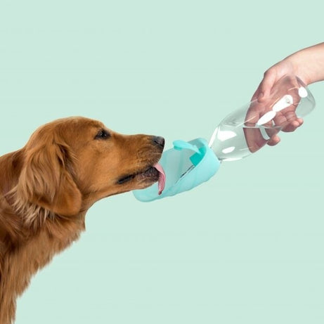 Garrafa Portátil para cães e gatos  500ml