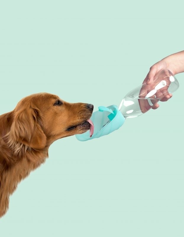 Garrafa Portátil para cães e gatos  500ml