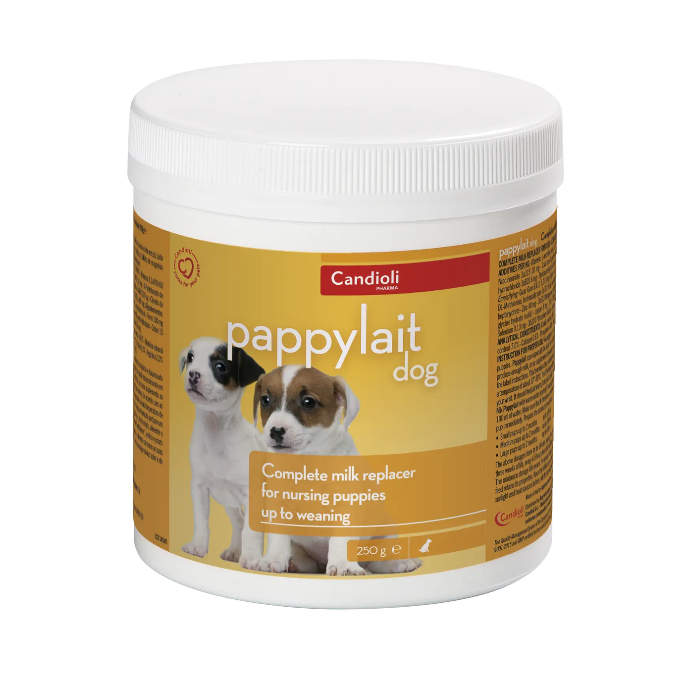 Juguete masticable circular para perros Kong Dotz
