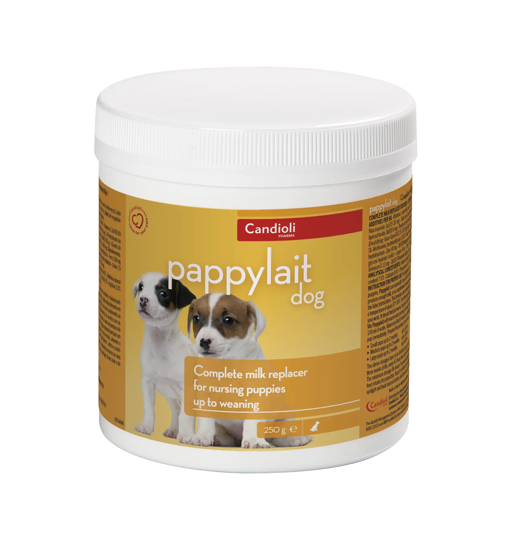 Juguete masticable circular para perros Kong Dotz