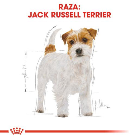 Royal Canin Dog Jack Russell Terrier Adult - Ração seca para cão adulto de raça