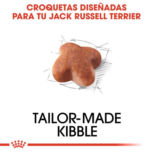 Royal Canin Dog Jack Russell Terrier Adult - Ração seca para cão adulto de raça