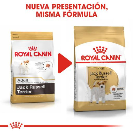 Royal Canin Dog Jack Russell Terrier Adult - Ração seca para cão adulto de raça