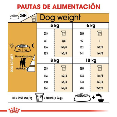 Royal Canin Dog Jack Russell Terrier Adult - Ração seca para cão adulto de raça