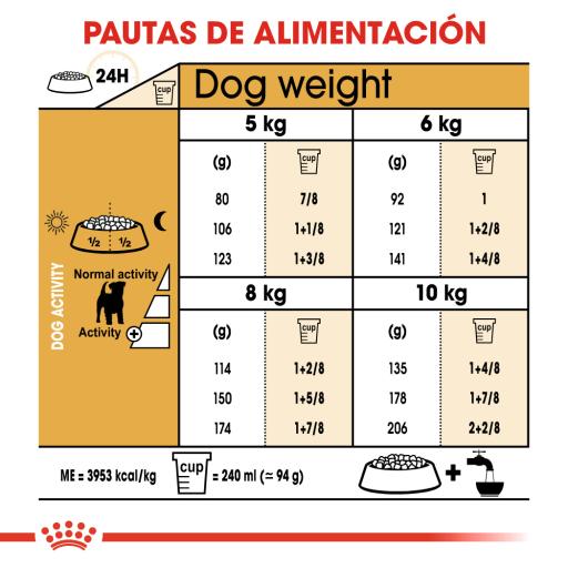 Royal Canin Dog Jack Russell Terrier Adult - Ração seca para cão adulto de raça