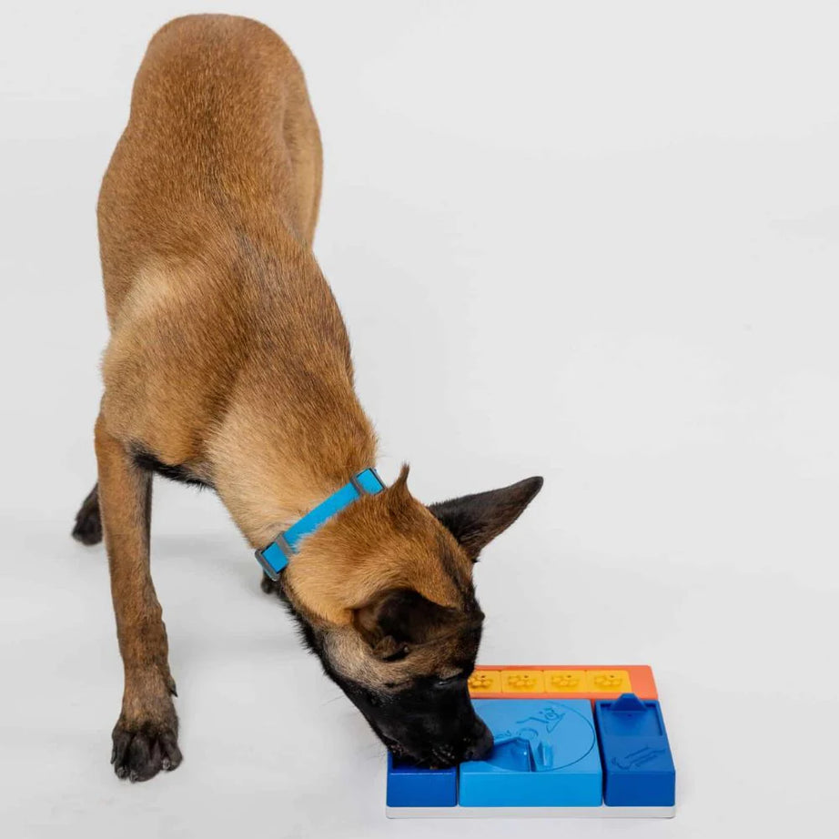 Puzzle Beginner - PAWZLER