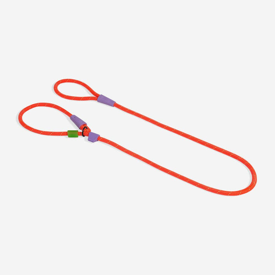 Trela semi-estranguladora Everest Slip-N-Lock