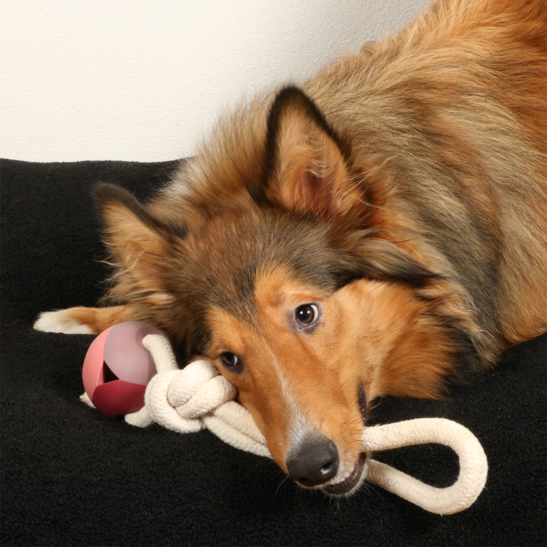 Dog Ball Toy with Rope