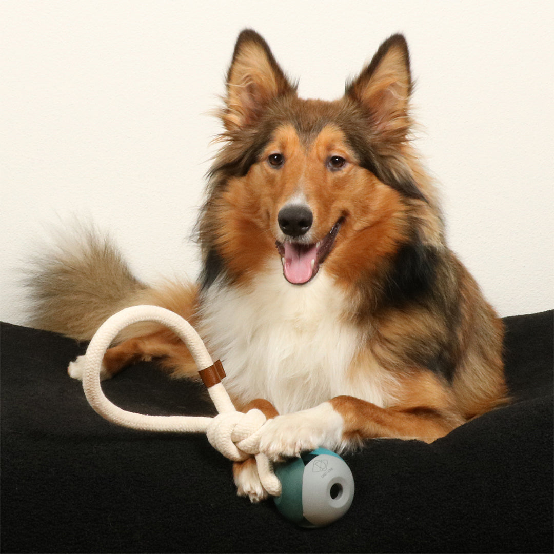 Dog Ball Toy with Rope