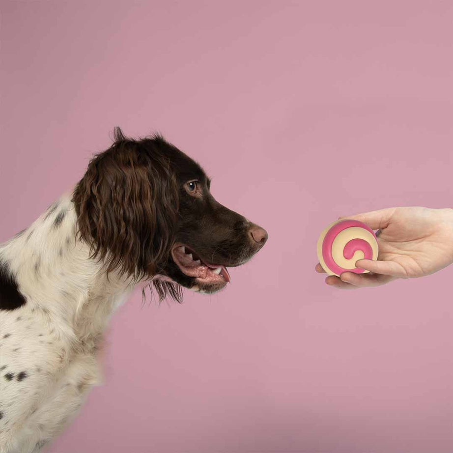 Brinquedo Cão Coockoo BERRY SWIRL