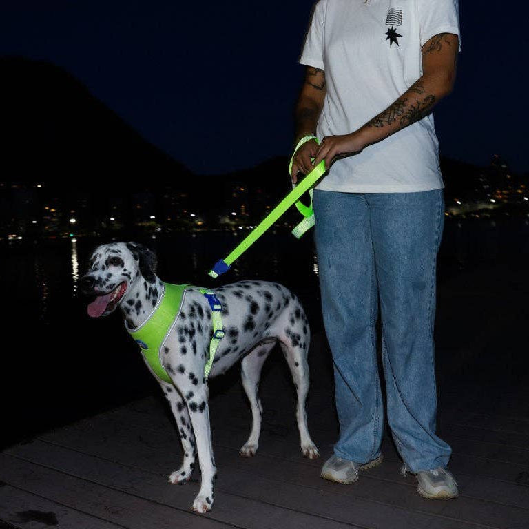 Trela Zee.Dog NOX Lumen - com detalhes refletivos: S