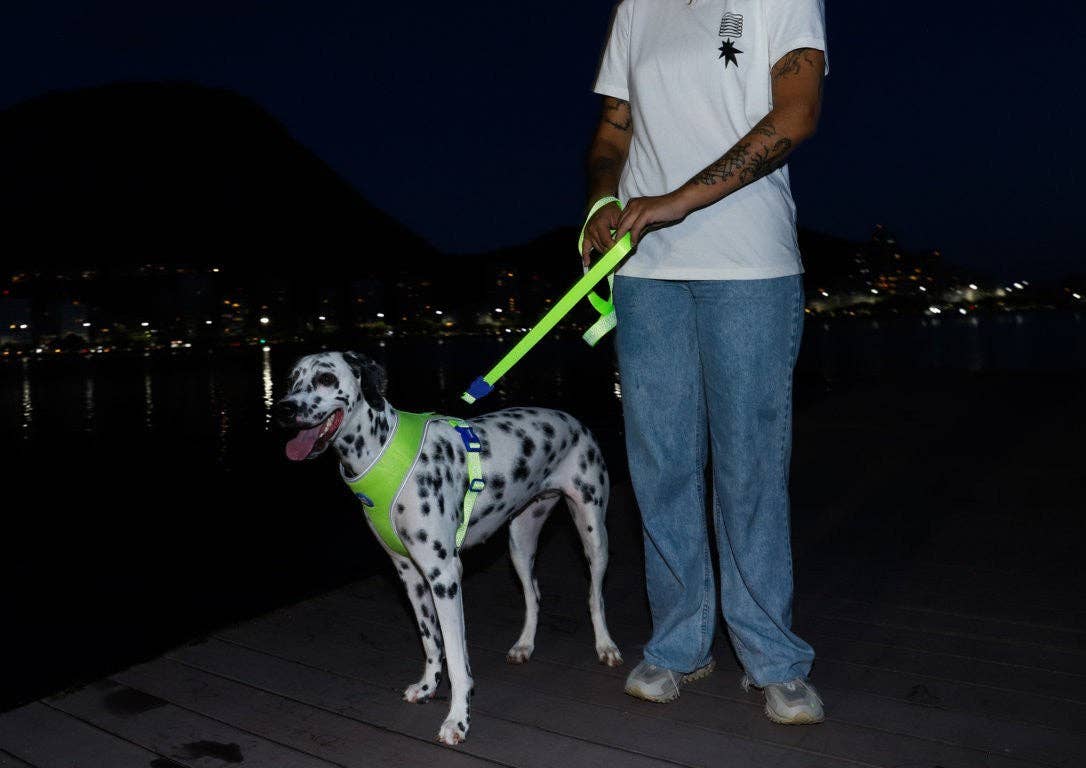 Trela Zee.Dog NOX Lumen - com detalhes refletivos: S