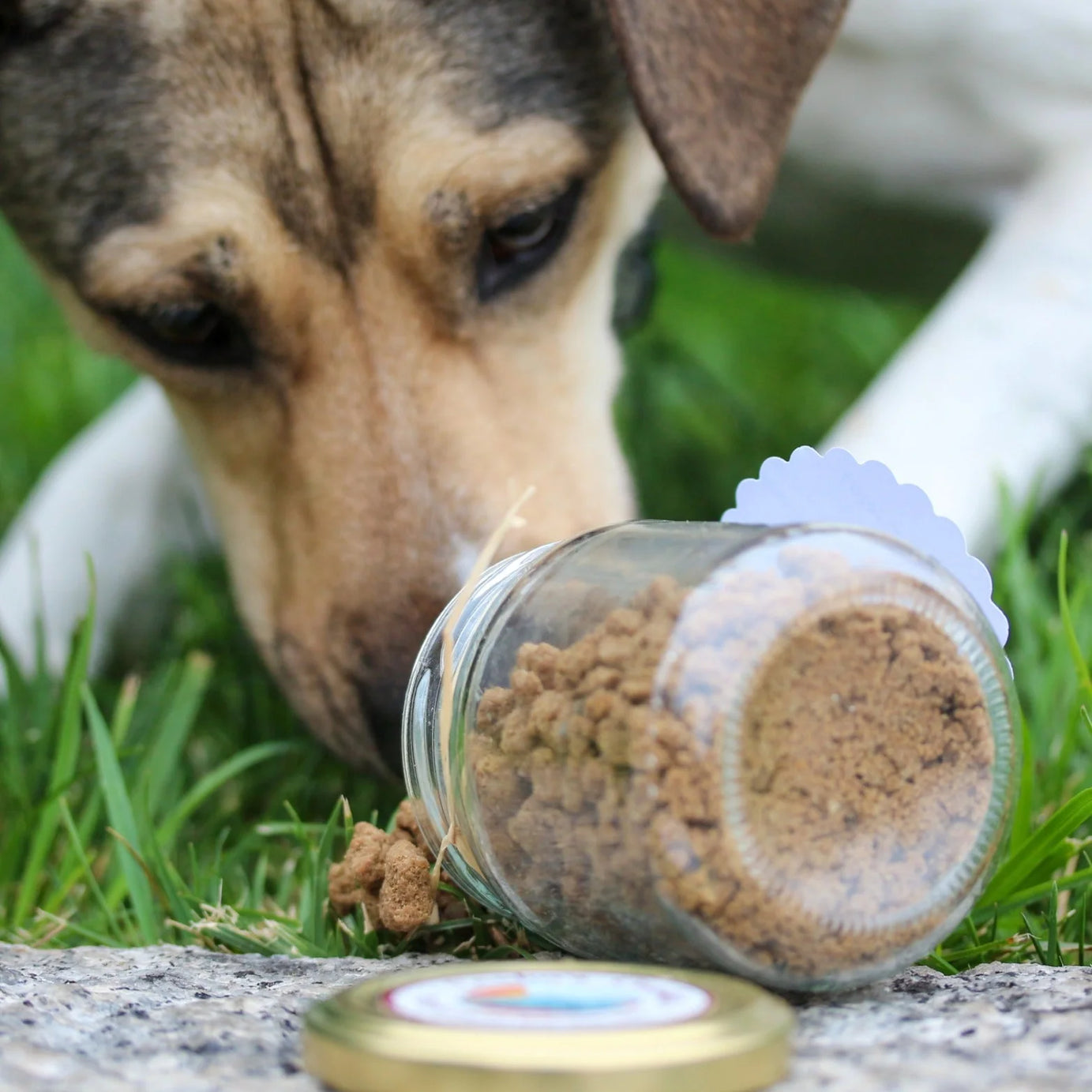 Cooka's Cookies suplemento alimentar para cães e gatos - Chicken Crumble 80g