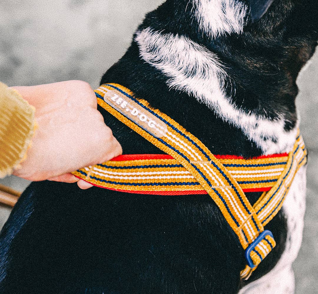 Peitoral Norueguês Anti-Puxão Zee.Dog Softer-Walk Velvet Vibes – Misfit | S