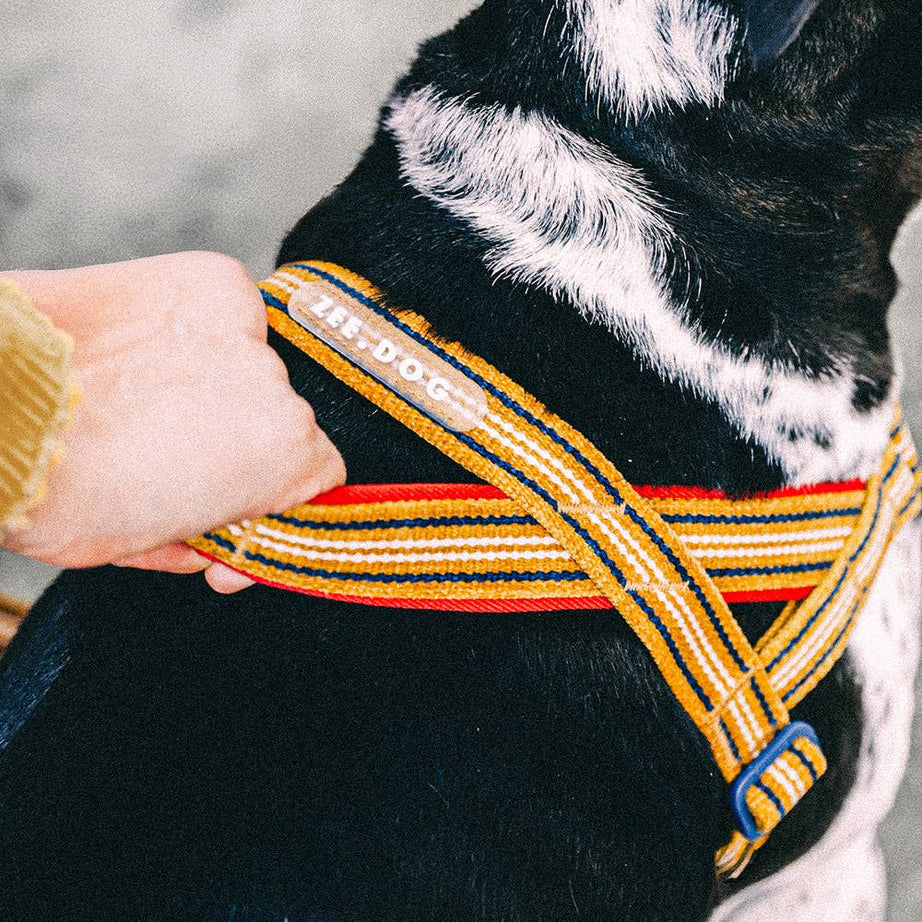 Peitoral Norueguês Anti-Puxão Zee.Dog Softer-Walk Velvet Vibes – Misfit | M