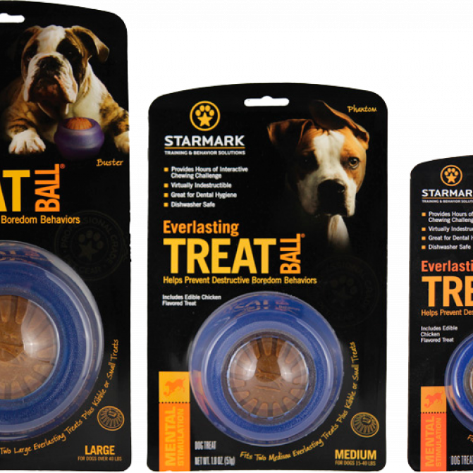 Everlasting Treat Ball