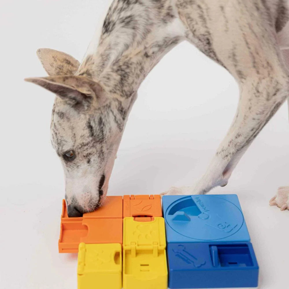 Puzzle Rainbow - PAWZLER