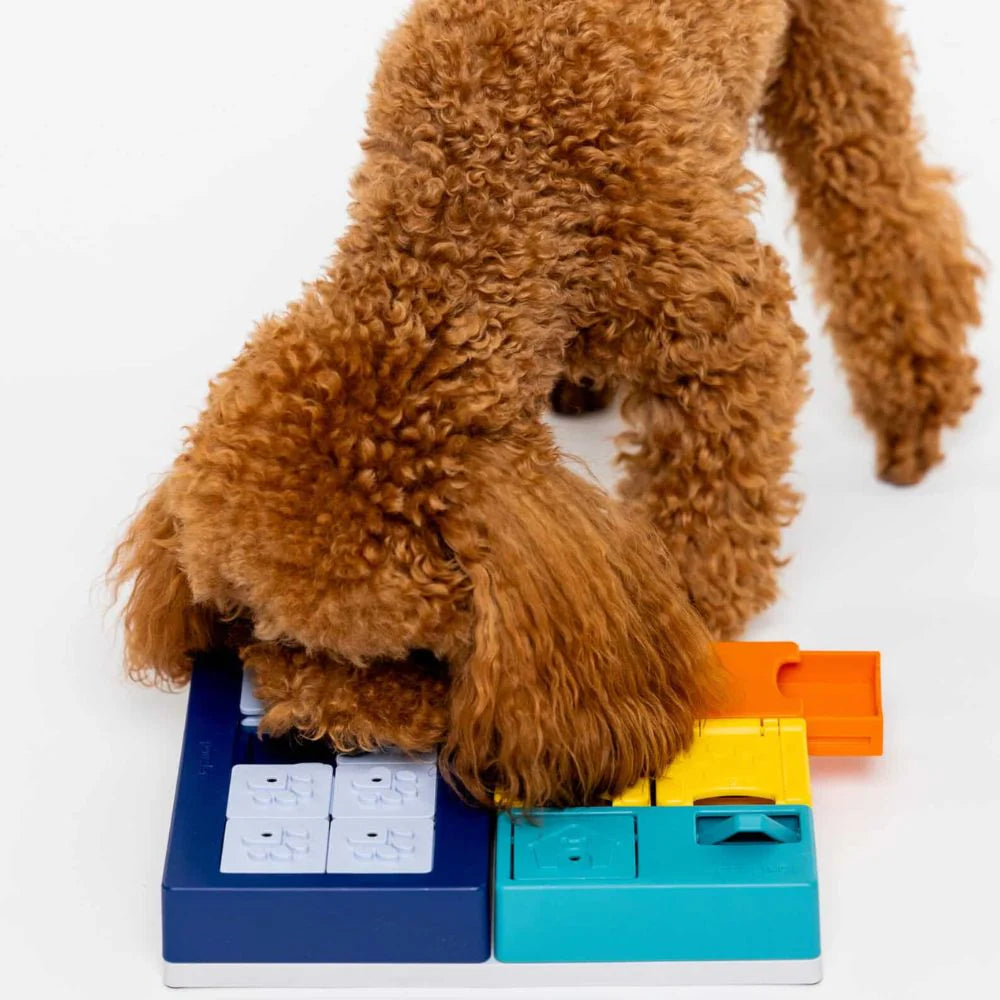 Puzzle Smarty - PAWZLER