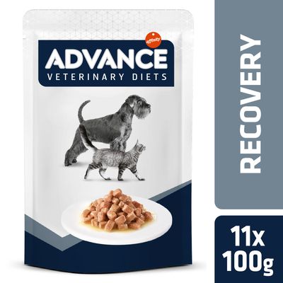 Advance Recovery Veterinary Diets comida húmida para cães e gatos | Pack 11 x 100g - DOGGIE STORE