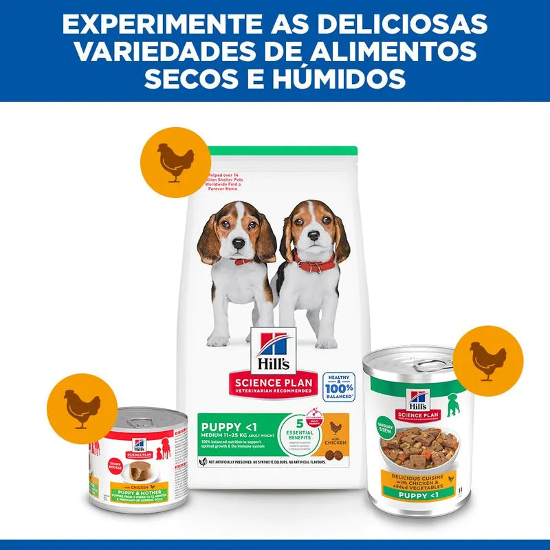 Hill's Science Plan Alimento húmido guisado para cachorro - Frango e legumes