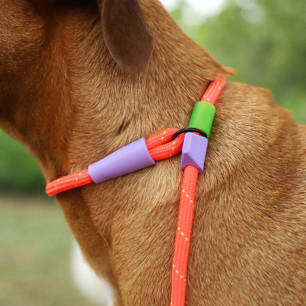 Trela semi-estranguladora Everest Slip-N-Lock