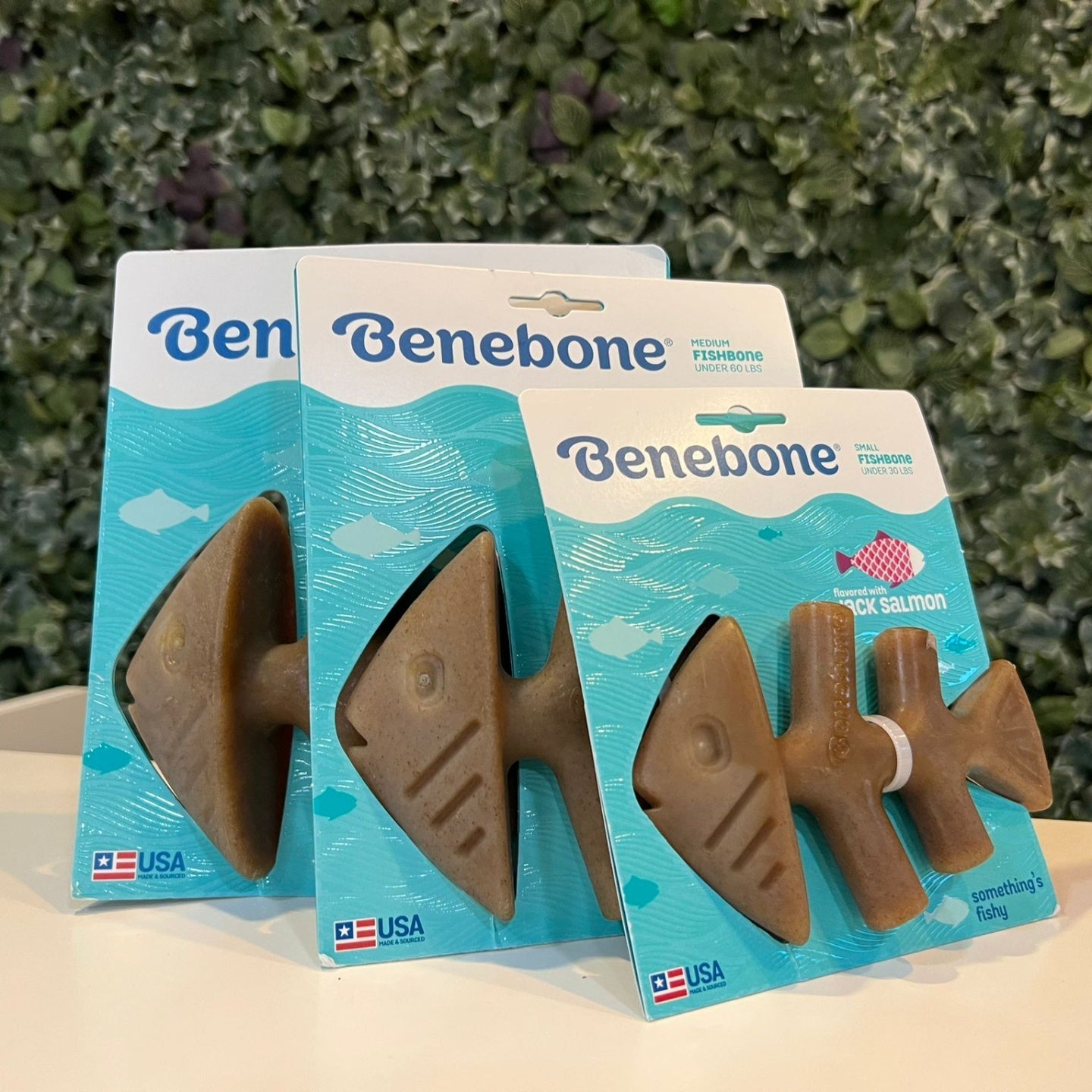 BENEBONE ZAGGLER BACON