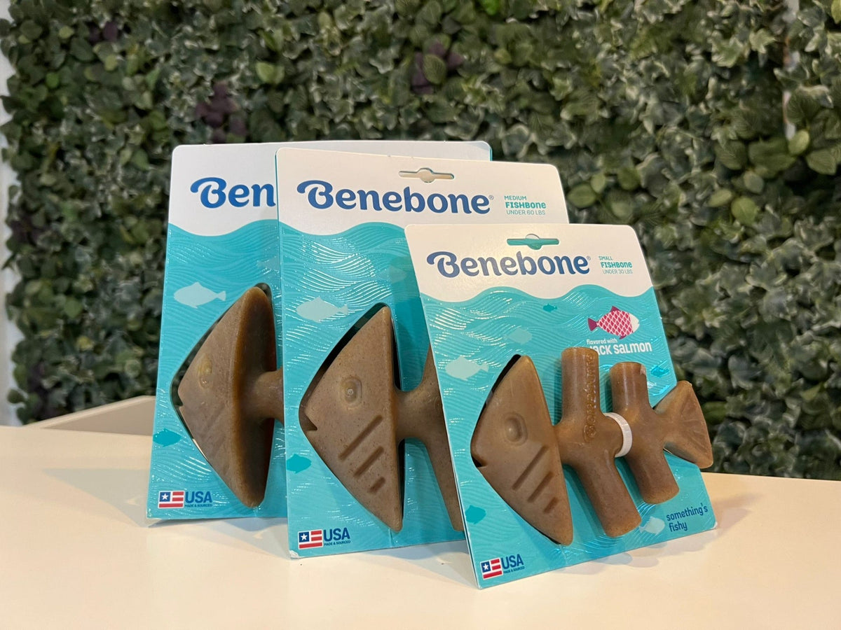 BENEBONE ZAGGLER BACON