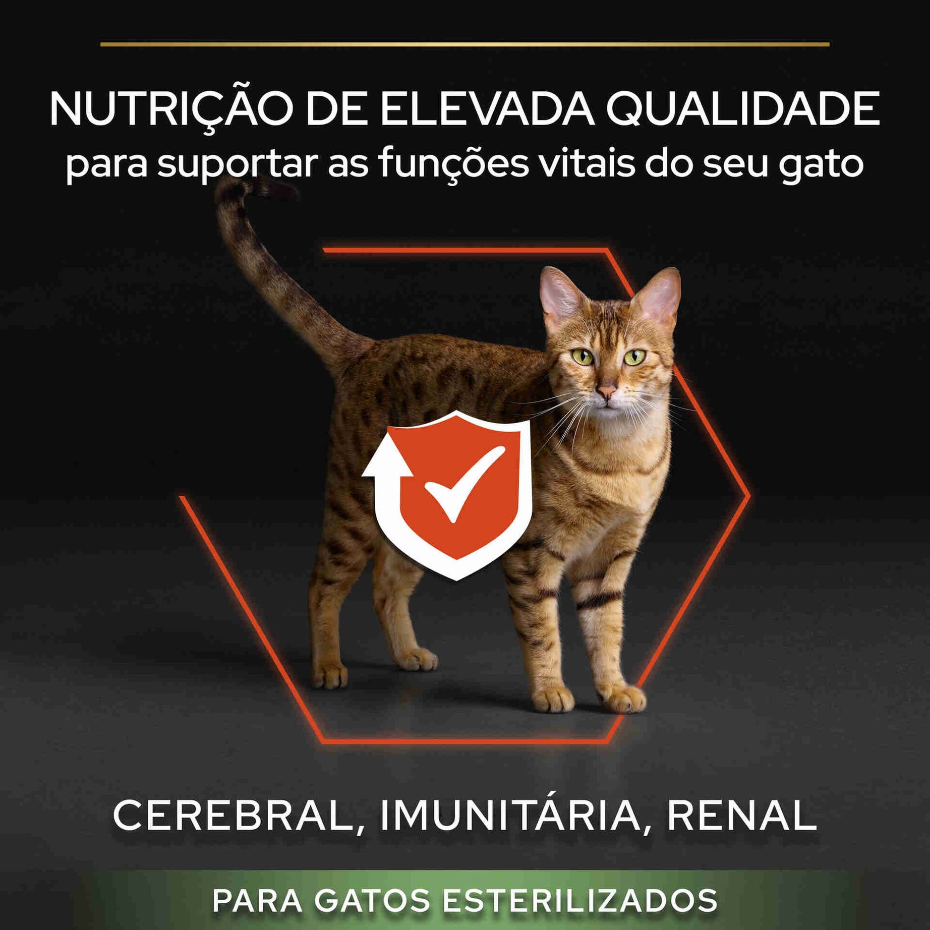 Pro Plan Cat Sterilised Vital Functions Salmon | 3 Kg - Ração seca para gatos esterilizados adultos (suporte de funções vitais)- Salmão
