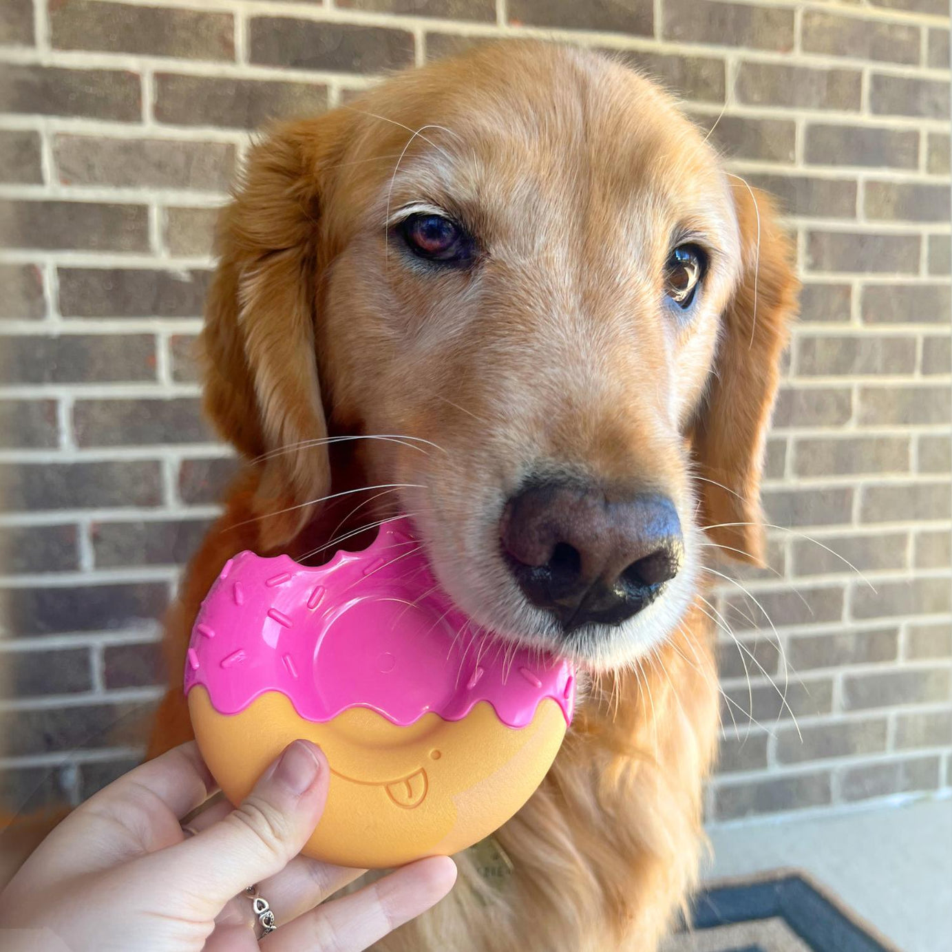 Juguete masticable de cuero crudo para perros Nylabone Extreme Chew Roll | Pollo