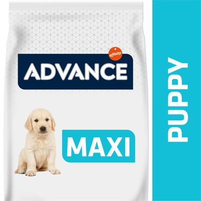 Advance Ração Cão Maxi Puppy Frango & Arroz - DOGGIE STORE