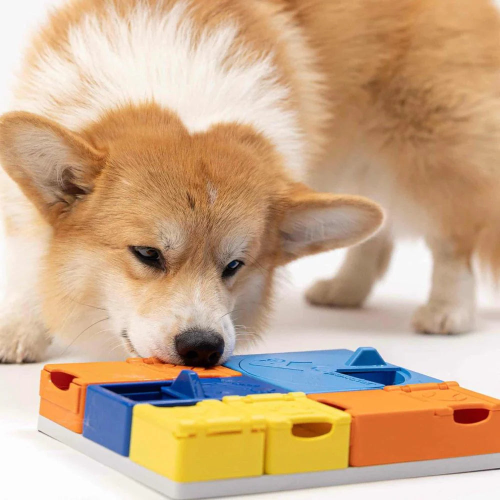 Puzzle Rainbow - PAWZLER