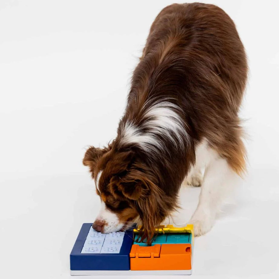 Puzzle Smarty - PAWZLER