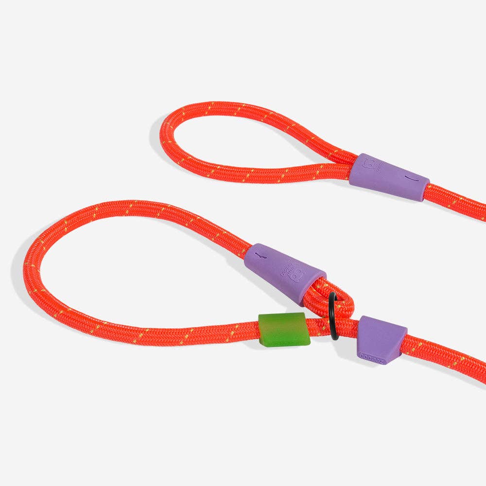 Trela semi-estranguladora Everest Slip-N-Lock