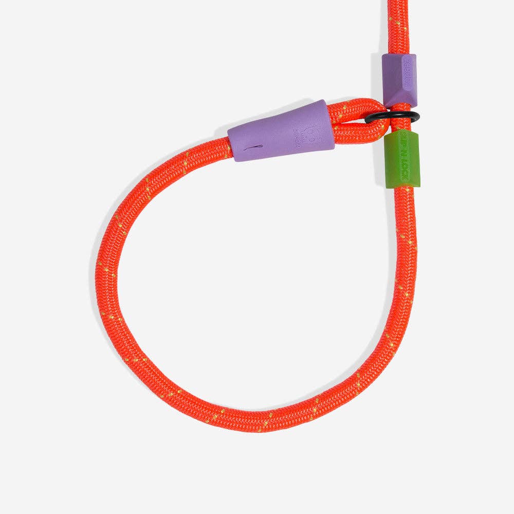Trela semi-estranguladora Everest Slip-N-Lock
